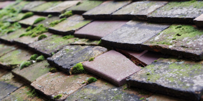 Rainham roof repair costs